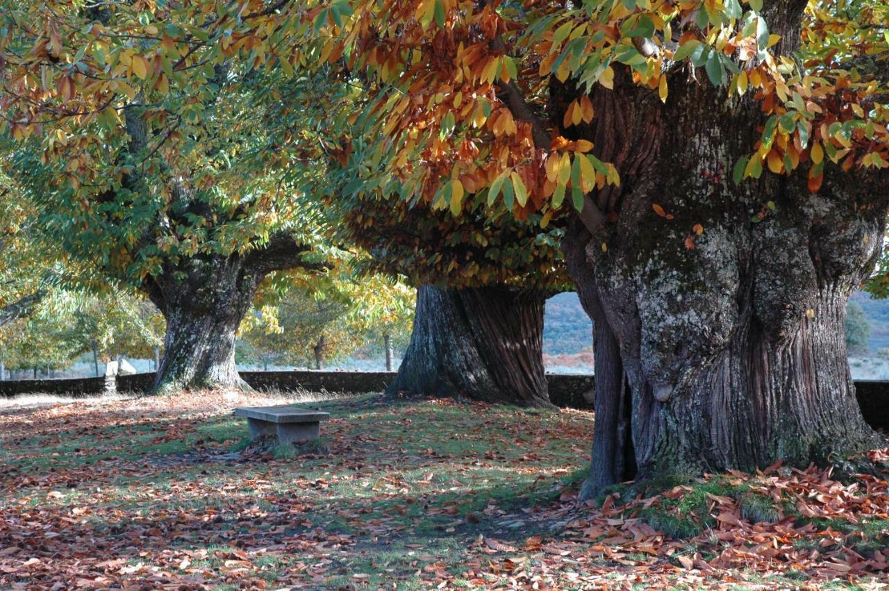 Вилла La Era De Sanabria Villarino de Sanabria Экстерьер фото