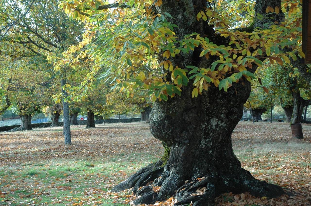 Вилла La Era De Sanabria Villarino de Sanabria Экстерьер фото